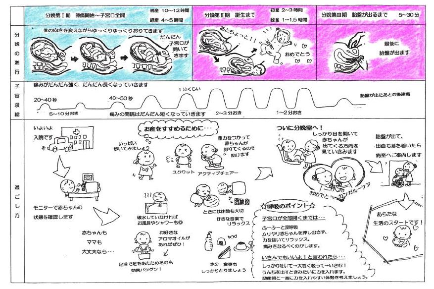 バースプラン 東大病院 産婦人科 総合周産期母子医療センター